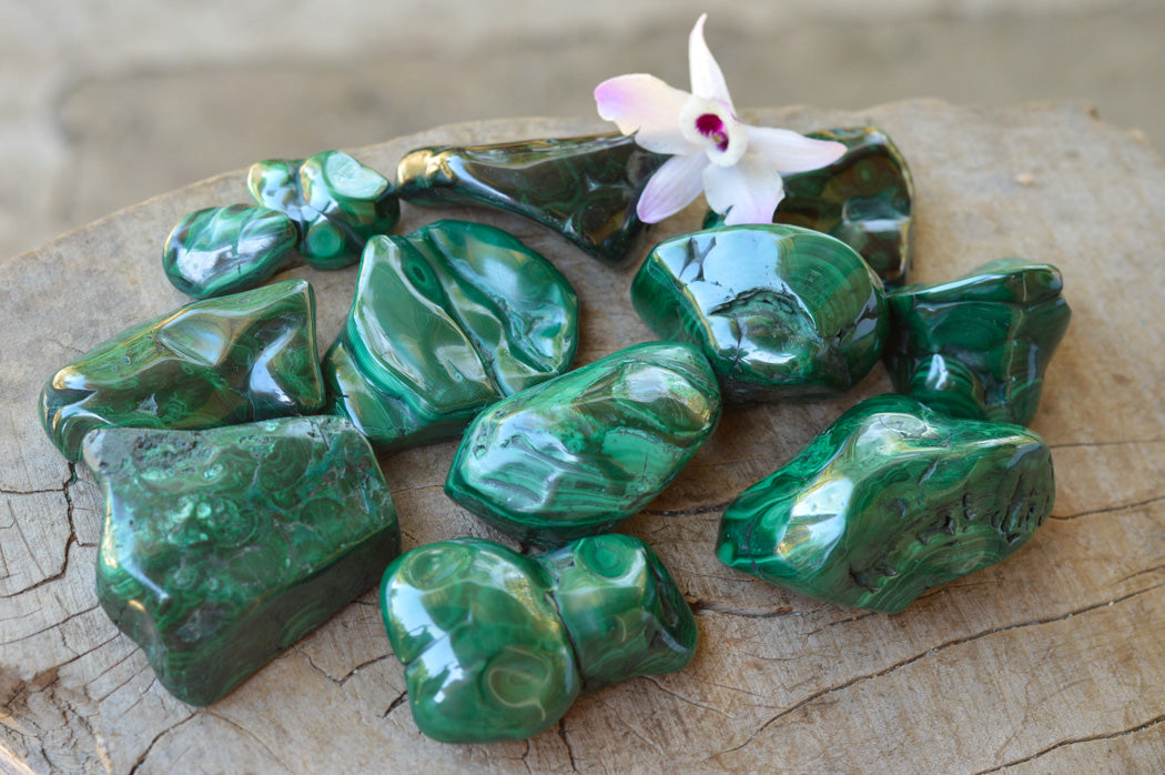 Polished Malachite Free Forms With Stunning Flower & Banding Patterns x 12 From Congo - TopRock