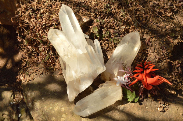 Natural Large Single Clear Quartz Crystals  x 3 From Mandrosonoro, Madagascar - TopRock