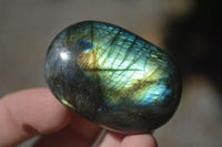 Polished Flashy Labradorite Palm Stones  x 12 From Tulear, Madagascar - Toprock Gemstones and Minerals