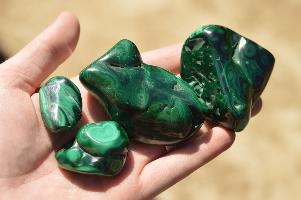 Polished Malachite Free Forms With Stunning Flower & Banding Patterns x 12 From Congo - TopRock