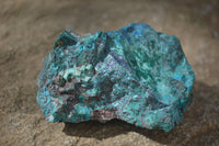 Natural Rough Shattuckite Cobbed Specimens x 6 From Kaokoveld, Namibia - Toprock Gemstones and Minerals