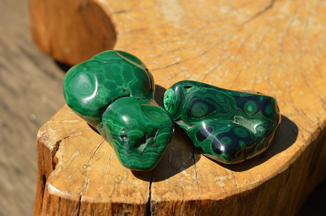 Polished Malachite Free Forms With Stunning Flower & Banding Patterns x 12 From Congo - TopRock