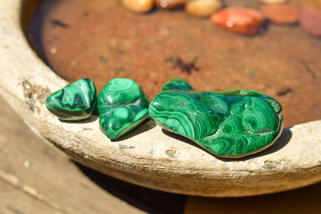 Polished Malachite Free Forms With Stunning Flower & Banding Patterns x 12 From Congo - TopRock