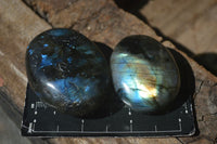 Polished Flashy Labradorite Palm Stones  x 12 From Tulear, Madagascar - Toprock Gemstones and Minerals