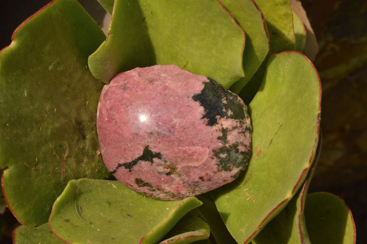 Polished Semi Polished Rhodonite Free Forms x 5 From Ambindavato, Madagascar - TopRock