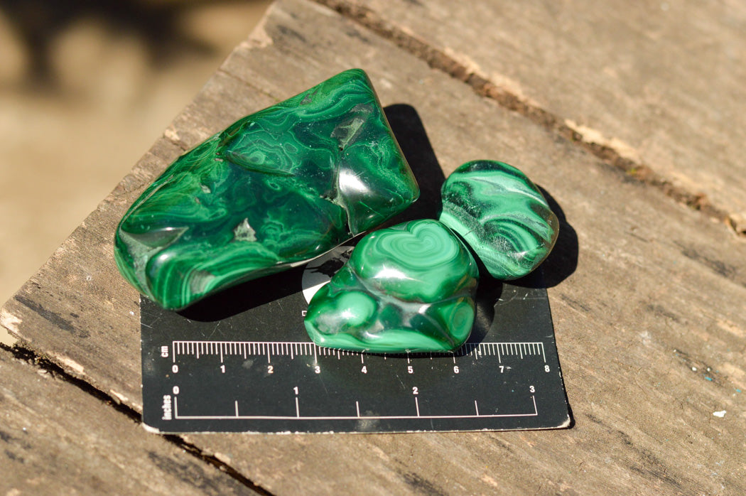 Polished Malachite Free Forms With Stunning Flower & Banding Patterns x 12 From Congo - TopRock