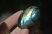 Polished Flashy Labradorite Palm Stones  x 12 From Tulear, Madagascar - Toprock Gemstones and Minerals
