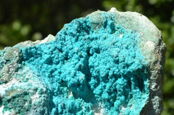 Natural Bright Blue Botryoidal Chrysocolla Specimens x 3 From Lupoto, Congo - TopRock