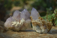 Natural Spirit Amethyst Quartz Clusters x 6 From Boekenhouthoek, South Africa - Toprock Gemstones and Minerals