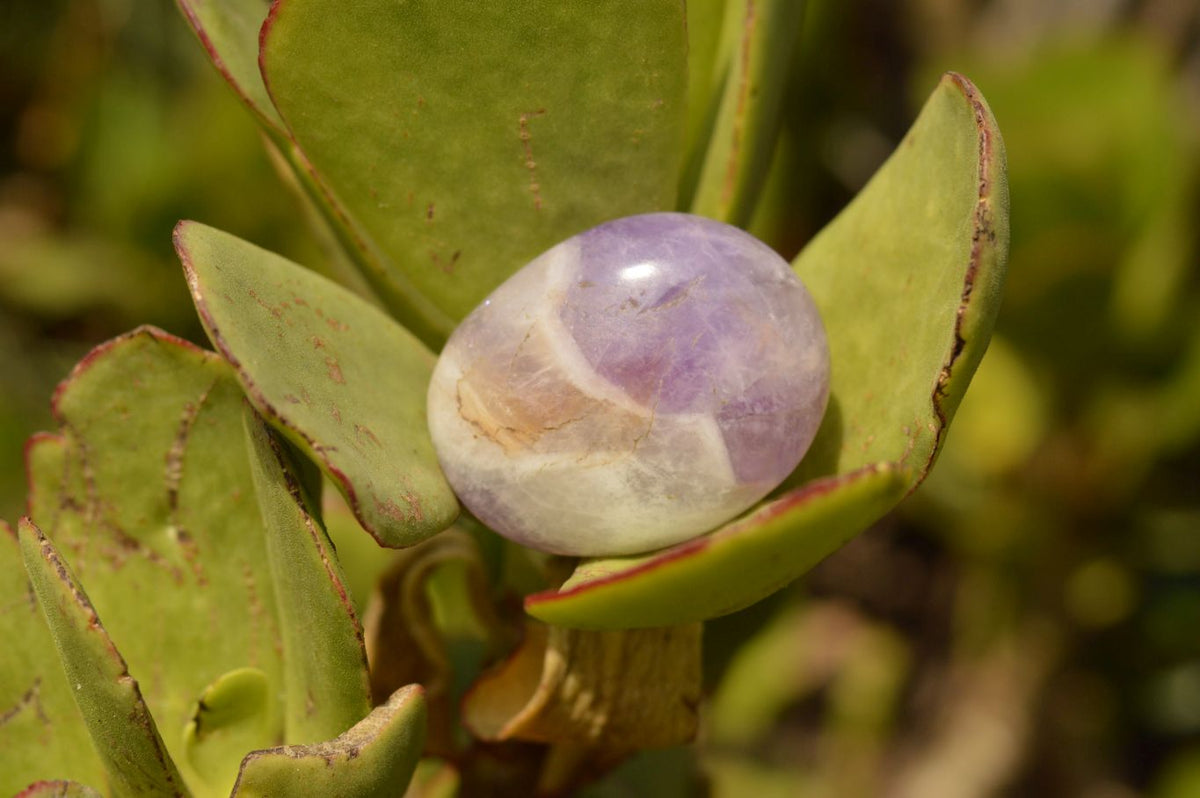 Polished Amethyst Palm Stones With Smokey Patterns x 12 From Madagascar - TopRock