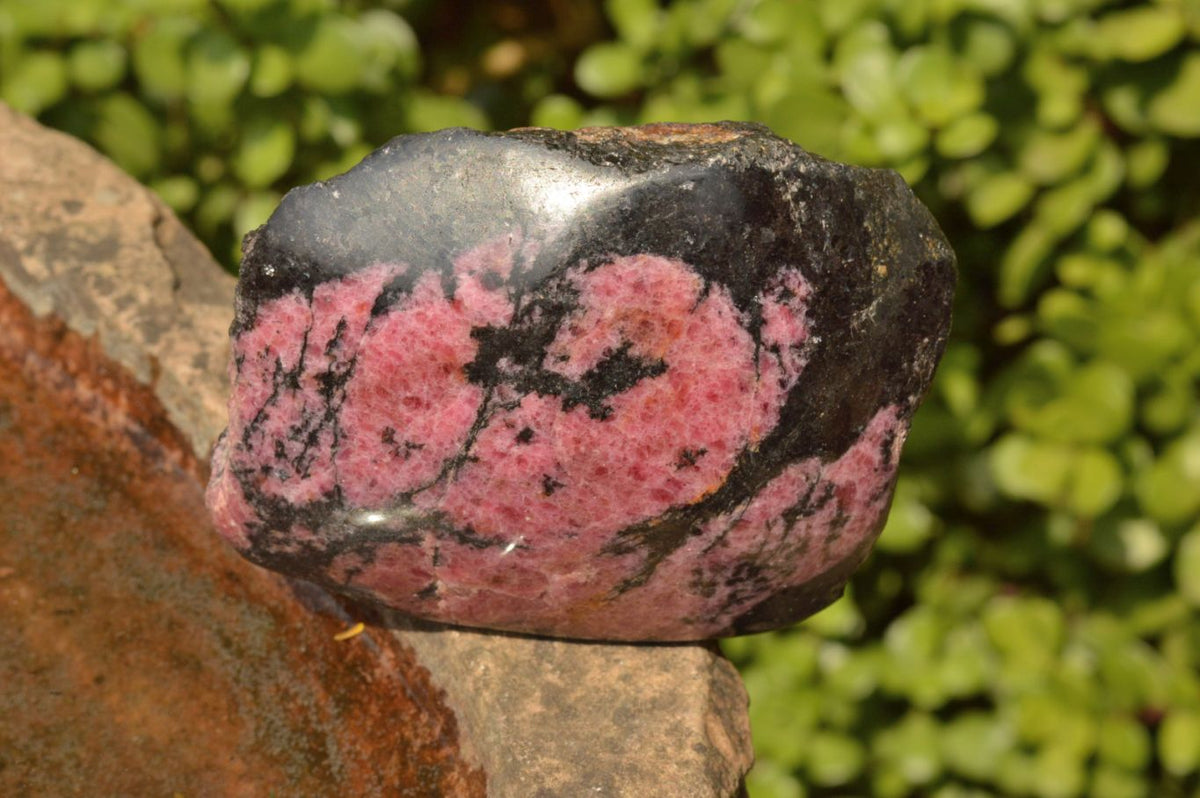 Polished Semi Polished Rhodonite Free Forms x 5 From Ambindavato, Madagascar - TopRock