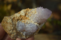 Natural Spirit Amethyst Quartz Clusters x 6 From Boekenhouthoek, South Africa - Toprock Gemstones and Minerals