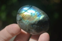 Polished Flashy Labradorite Palm Stones  x 12 From Tulear, Madagascar - Toprock Gemstones and Minerals