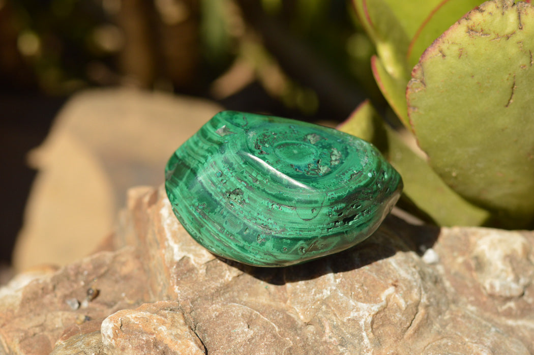 Polished Malachite Free Forms With Stunning Flower & Banding Patterns x 12 From Congo - TopRock