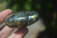 Polished Flashy Labradorite Palm Stones  x 12 From Tulear, Madagascar - Toprock Gemstones and Minerals