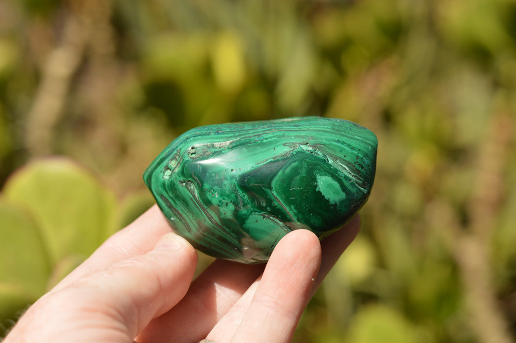 Polished Malachite Free Forms With Stunning Flower & Banding Patterns x 12 From Congo - TopRock
