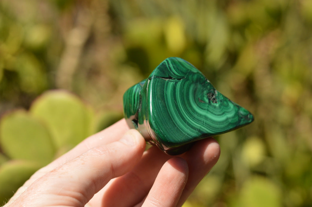 Polished Malachite Free Forms With Stunning Flower & Banding Patterns x 12 From Congo - TopRock