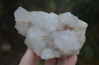 Natural White Spirit Cactus Quartz Clusters  x 2 From Boekenhouthoek, South Africa - Toprock Gemstones and Minerals