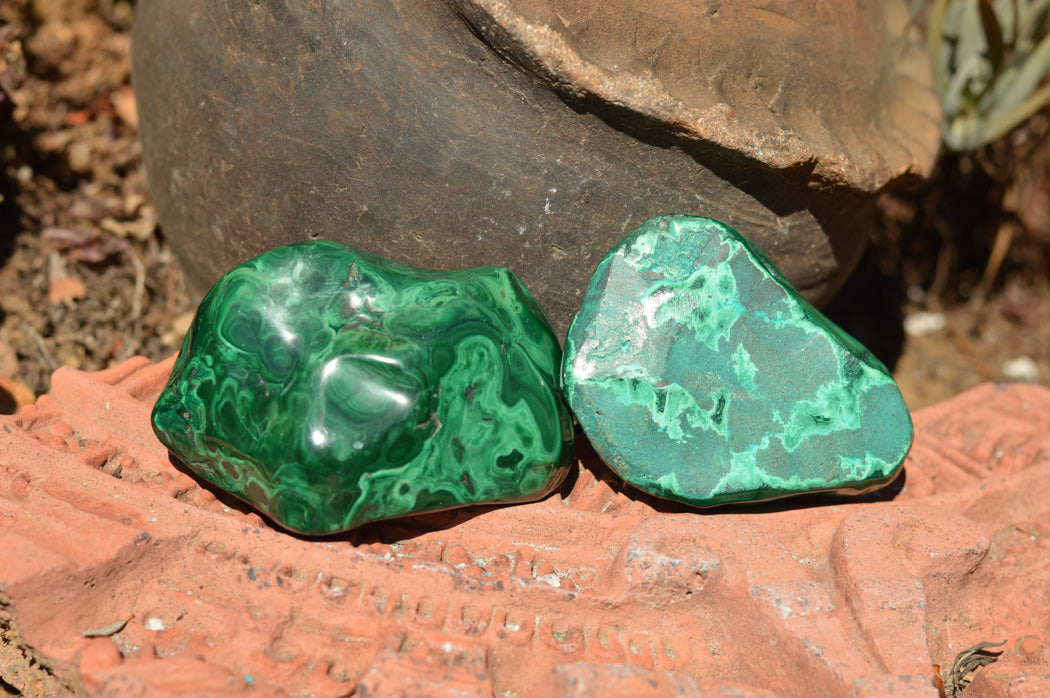 Polished Malachite Free Forms With Stunning Flower & Banding Patterns x 12 From Congo - TopRock