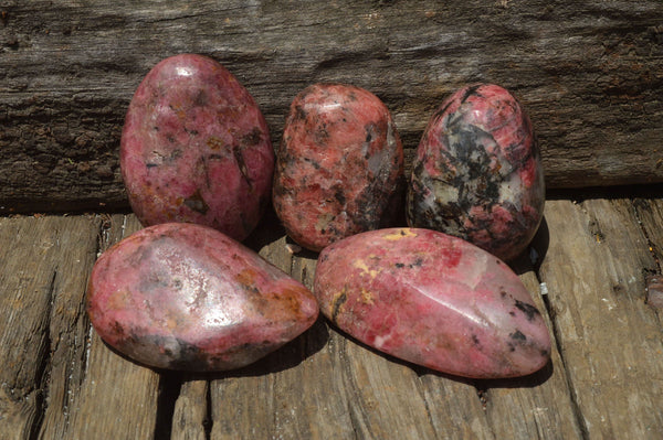 Polished Red Rhodonite Free Forms x 12 From Zimbabwe - TopRock