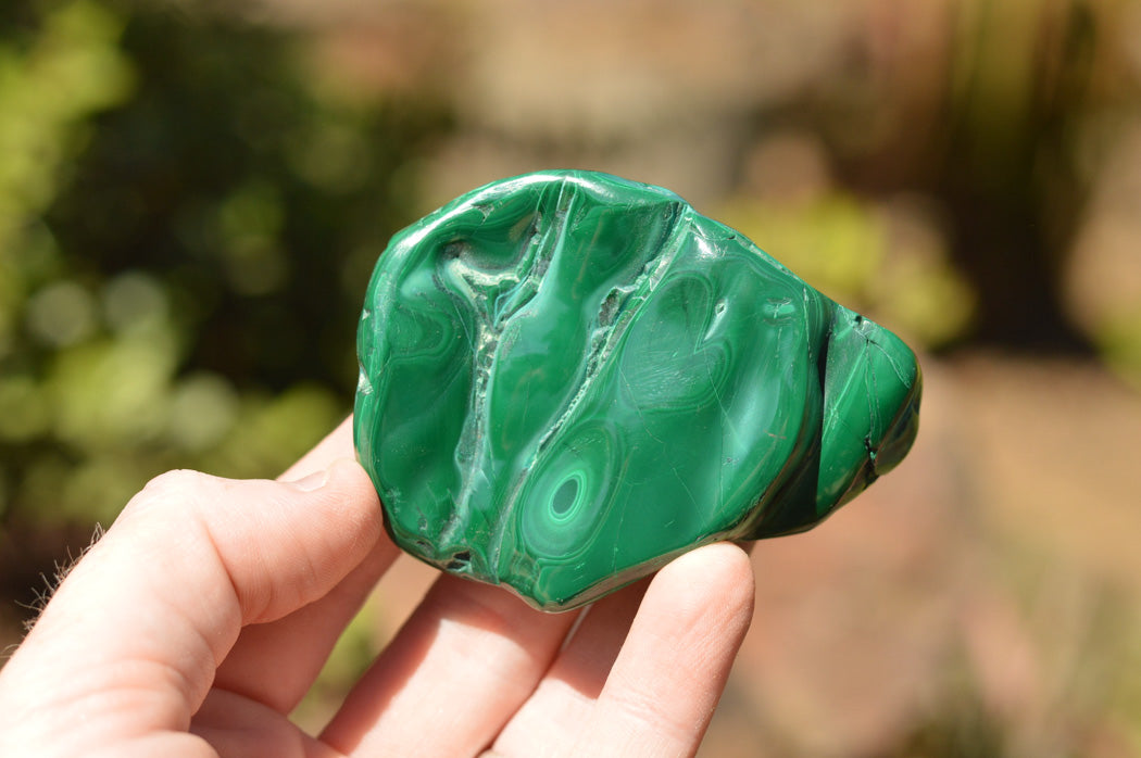 Polished Malachite Free Forms With Stunning Flower & Banding Patterns x 12 From Congo - TopRock