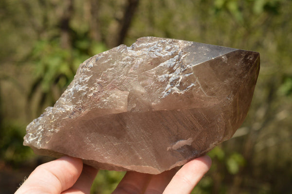 Natural Smokey Quartz Crystal With Polished Terminations  x 1 From Mt. Mulanje, Malawi - TopRock