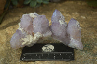 Natural Spirit Amethyst Quartz Clusters x 6 From Boekenhouthoek, South Africa - Toprock Gemstones and Minerals