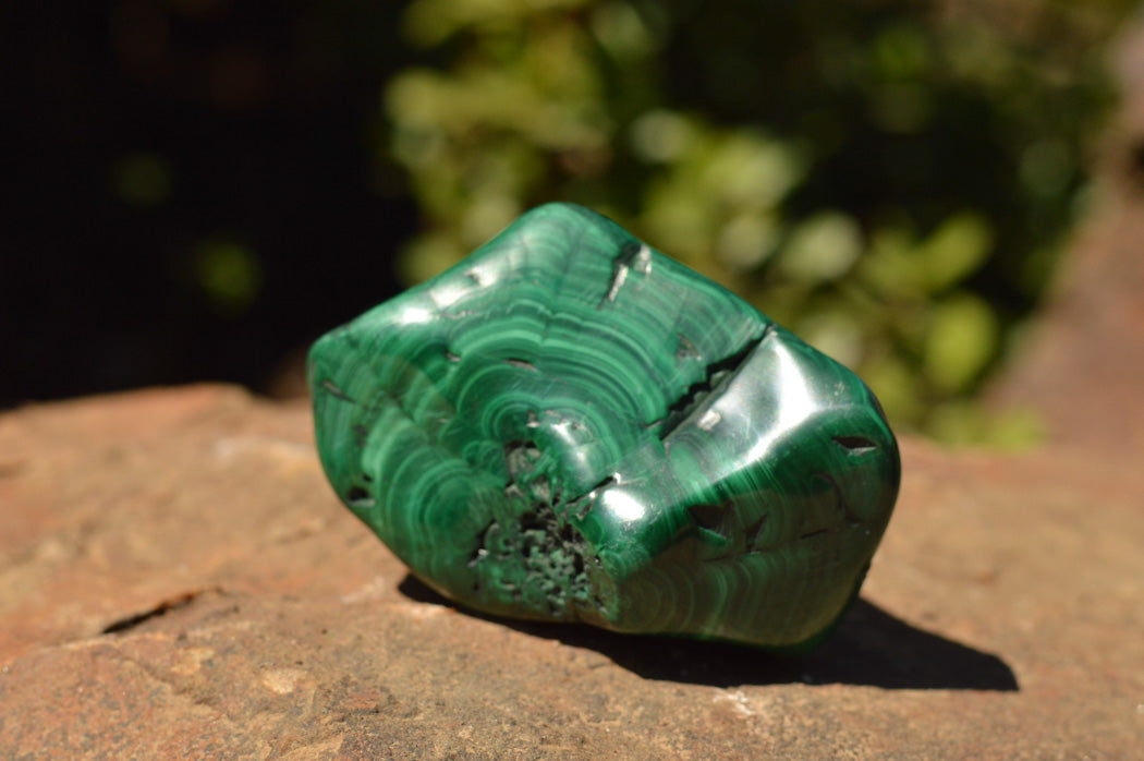 Polished Malachite Free Forms With Stunning Flower & Banding Patterns x 12 From Congo - TopRock