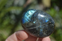 Polished Flashy Labradorite Palm Stones  x 12 From Tulear, Madagascar - Toprock Gemstones and Minerals