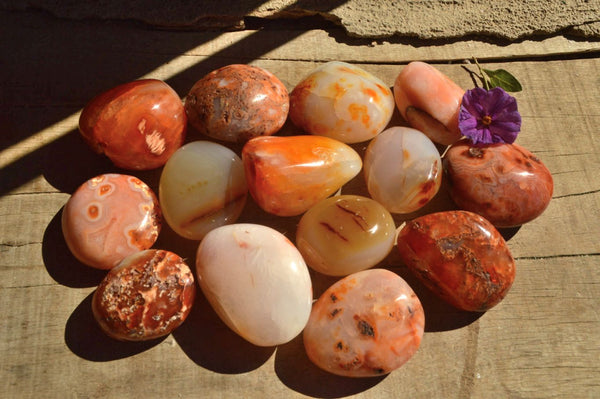 Polished Carnelian Agate Gallets x 24 From Madagascar - TopRock