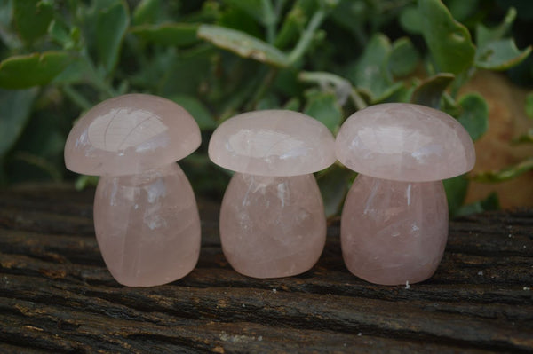 Polished Gemmy Star Rose Quartz Mushrooms  x 12 From Madagascar - Toprock Gemstones and Minerals 