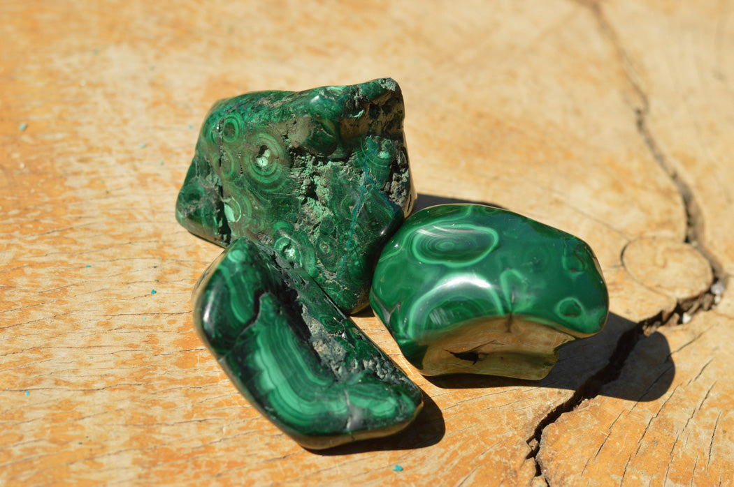 Polished Malachite Free Forms With Stunning Flower & Banding Patterns x 12 From Congo - TopRock