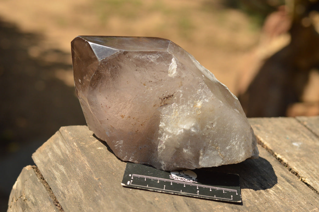 Polished Large Smokey Quartz Crystal With Polished Terminations & Natural Crystalline Sides x 1 From Malawi - TopRock