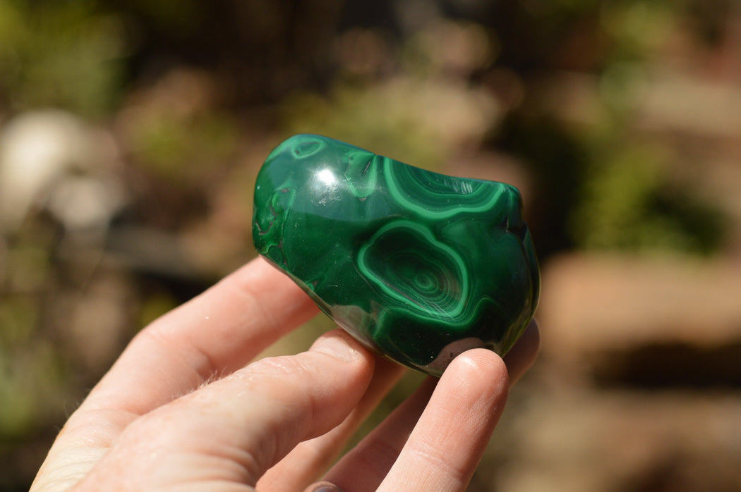Polished Malachite Free Forms With Stunning Flower & Banding Patterns x 12 From Congo - TopRock
