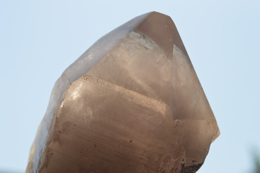 Polished Large Smokey Quartz Crystal With Polished Terminations & Natural Crystalline Sides x 1 From Malawi - TopRock