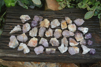 Natural Small Mixed Spirit Quartz Crystals  x 70 From Boekenhouthoek, South Africa - Toprock Gemstones and Minerals