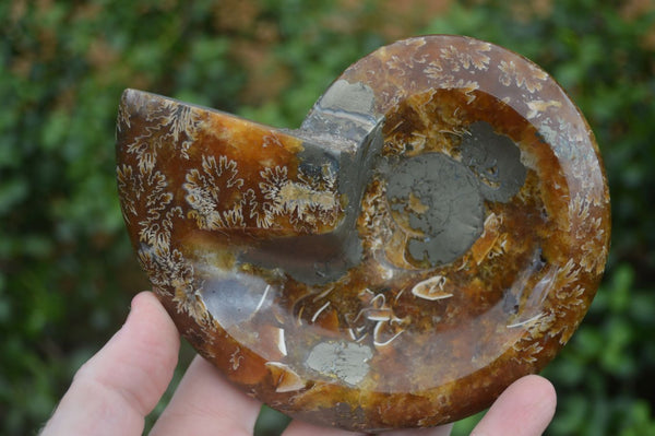 Polished Jigsaw Ammonite Fossil Dishes  x 2 From Madagascar - Toprock Gemstones and Minerals 