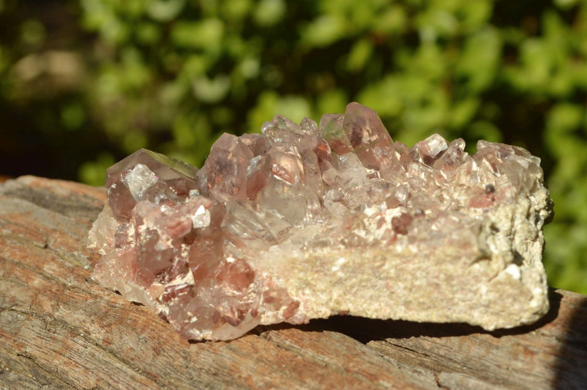 Natural Large Single Red Hematoid Quartz Crystals x 12 From Zimbabwe - TopRock