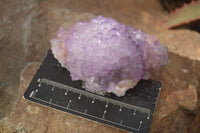 Natural Spirit Amethyst Quartz Clusters x 2 From Boekenhouthoek, South Africa - Toprock Gemstones and Minerals