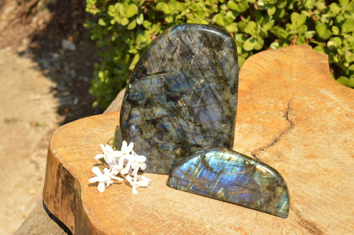 Polished Flashy Blue Labradorite Standing Free Forms x 2 From Tulear, Madagascar - TopRock