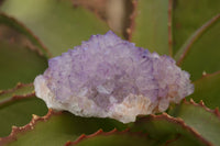 Natural Spirit Amethyst Quartz Clusters x 2 From Boekenhouthoek, South Africa - Toprock Gemstones and Minerals