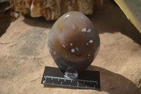 Polished Mixed Agate Standing Free Forms  x 3 From Madagascar - Toprock Gemstones and Minerals