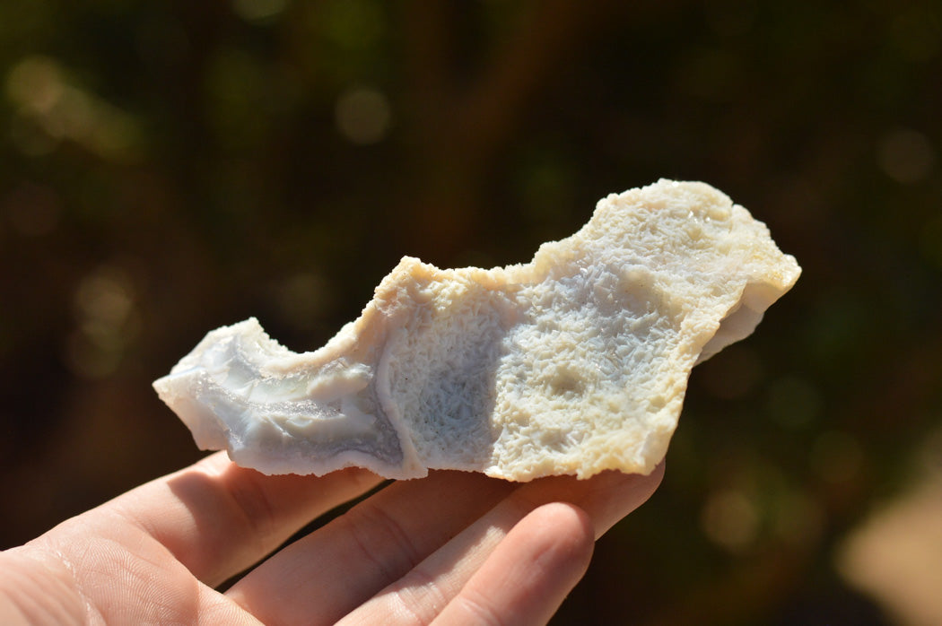 Natural Etched Blue Chalcedony Agate Specimens x 22 From Malawi - TopRock