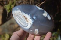 Polished Mixed Agate Standing Free Forms  x 3 From Madagascar - Toprock Gemstones and Minerals