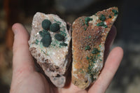 Natural Rare Ball Malachite On Drusy Quartz & Dolomite Matrix  x 6 From Kambove, Congo - Toprock Gemstones and Minerals