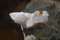 Natural White Cactus Flower Spirit Quartz Specimens x 12 From Boekenhouthoek, South Africa - Toprock Gemstones and Minerals