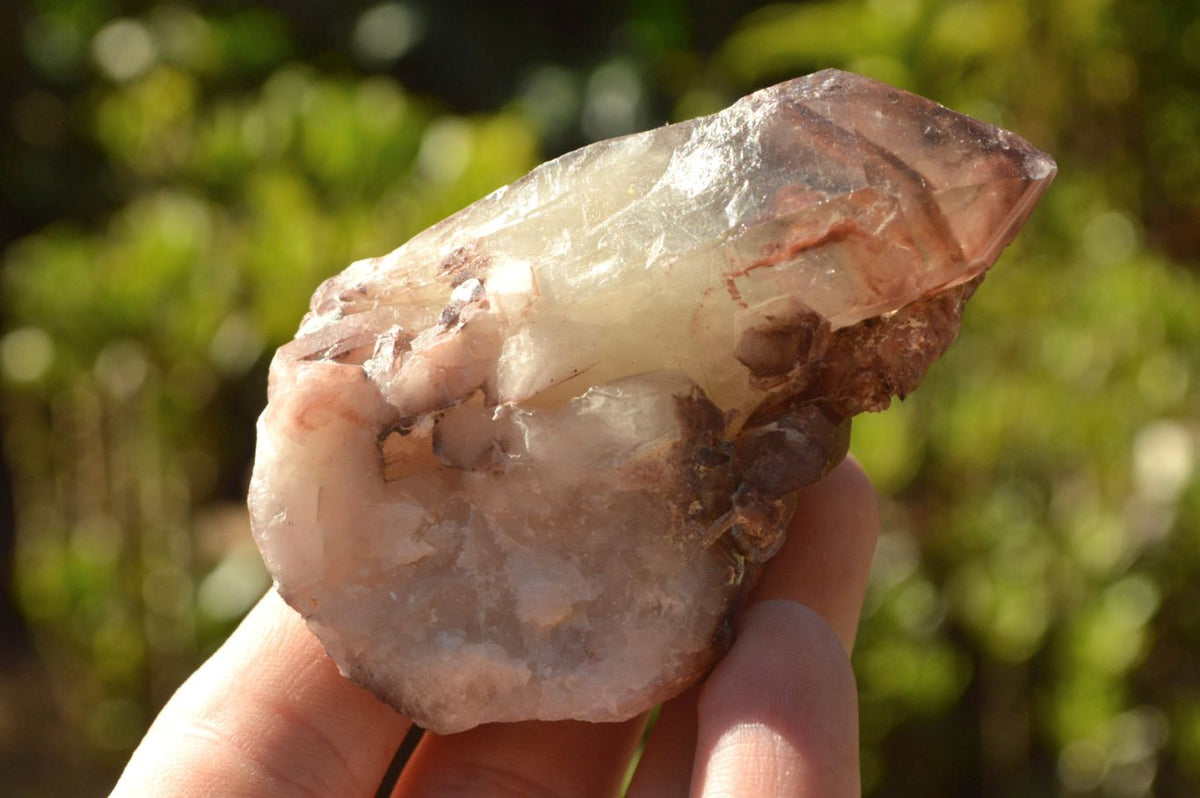 Natural Large Single Red Hematoid Quartz Crystals x 12 From Zimbabwe - TopRock