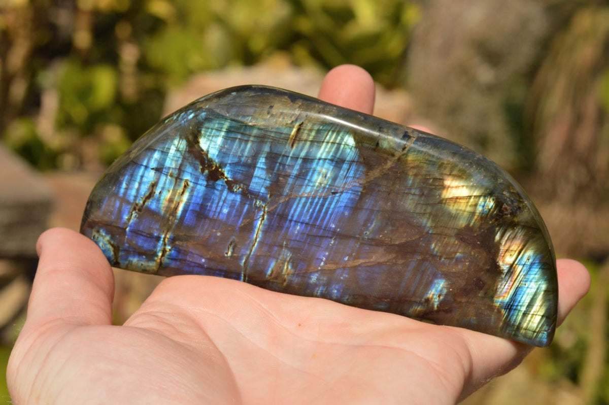 Polished Flashy Blue Labradorite Standing Free Forms x 2 From Tulear, Madagascar - TopRock