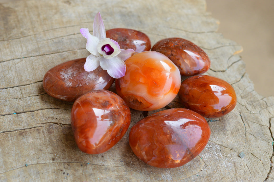 Polished Deep Red Carnelian Agate Gallets x 12 From Madagascar - TopRock