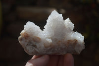 Natural White Cactus Flower Spirit Quartz Specimens x 12 From Boekenhouthoek, South Africa - Toprock Gemstones and Minerals